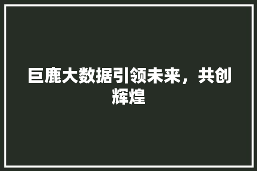 巨鹿大数据引领未来，共创辉煌