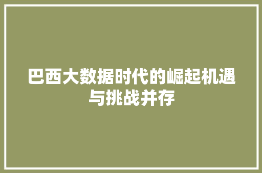 巴西大数据时代的崛起机遇与挑战并存