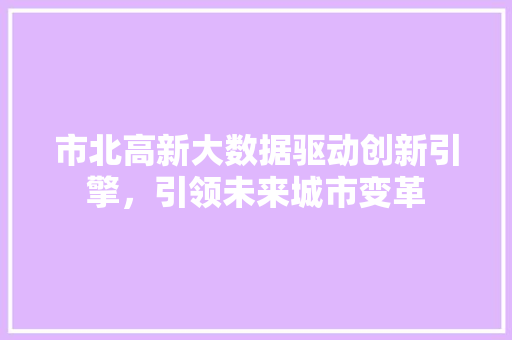 市北高新大数据驱动创新引擎，引领未来城市变革