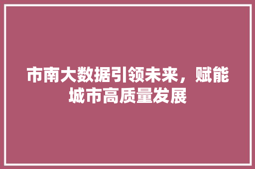 市南大数据引领未来，赋能城市高质量发展