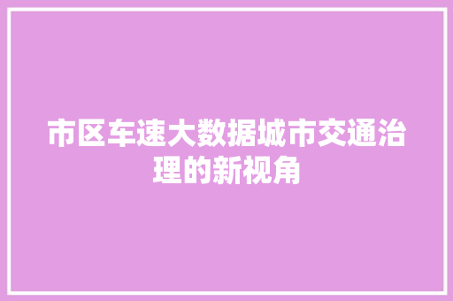 市区车速大数据城市交通治理的新视角