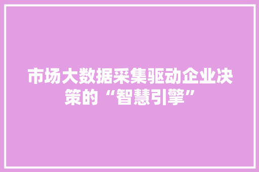 市场大数据采集驱动企业决策的“智慧引擎”