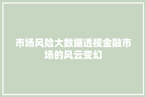 市场风险大数据透视金融市场的风云变幻