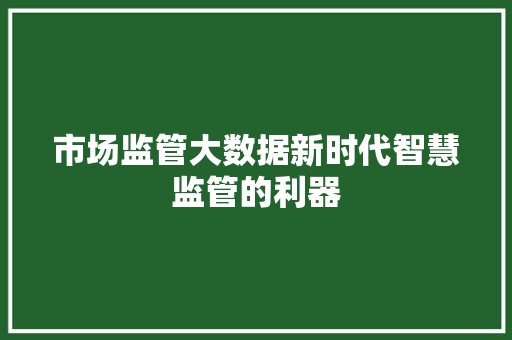市场监管大数据新时代智慧监管的利器