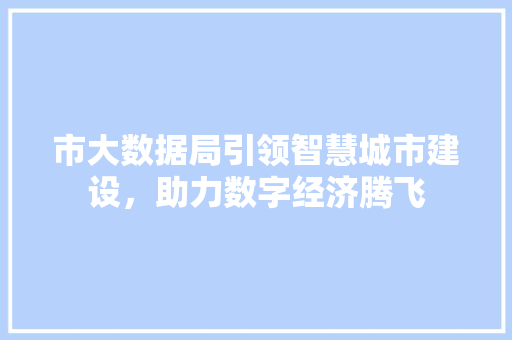 市大数据局引领智慧城市建设，助力数字经济腾飞