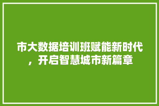 市大数据培训班赋能新时代，开启智慧城市新篇章