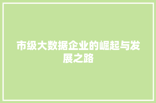 市级大数据企业的崛起与发展之路