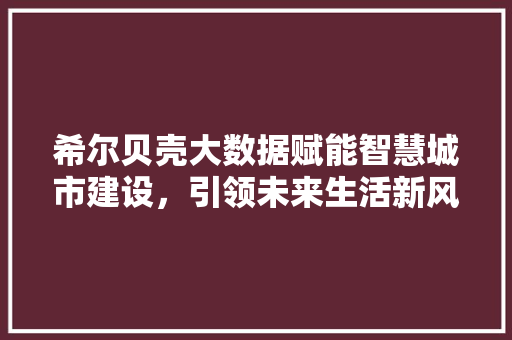 希尔贝壳大数据赋能智慧城市建设，引领未来生活新风尚