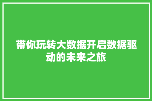 带你玩转大数据开启数据驱动的未来之旅