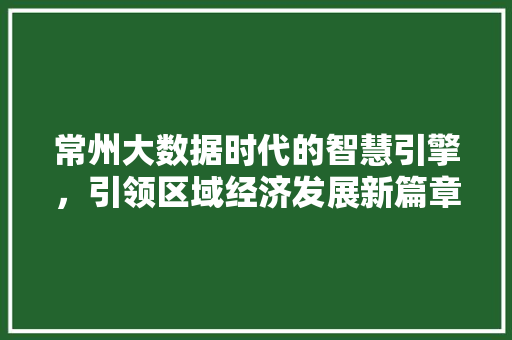常州大数据时代的智慧引擎，引领区域经济发展新篇章