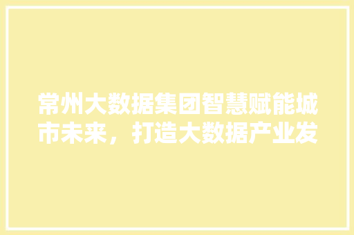 常州大数据集团智慧赋能城市未来，打造大数据产业发展新格局