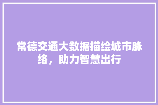 常德交通大数据描绘城市脉络，助力智慧出行