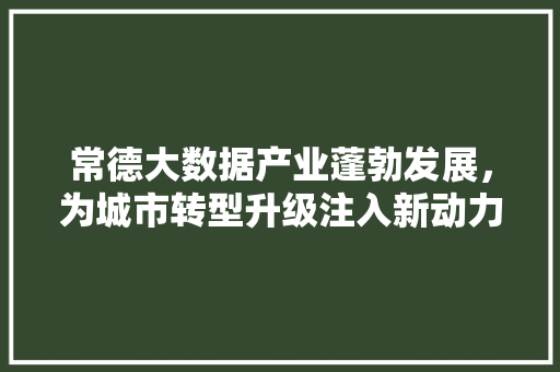 常德大数据产业蓬勃发展，为城市转型升级注入新动力