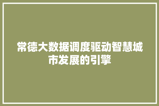 常德大数据调度驱动智慧城市发展的引擎