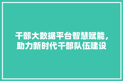 干部大数据平台智慧赋能，助力新时代干部队伍建设