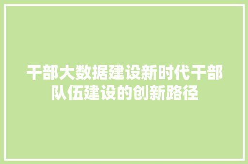 干部大数据建设新时代干部队伍建设的创新路径