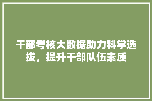 干部考核大数据助力科学选拔，提升干部队伍素质