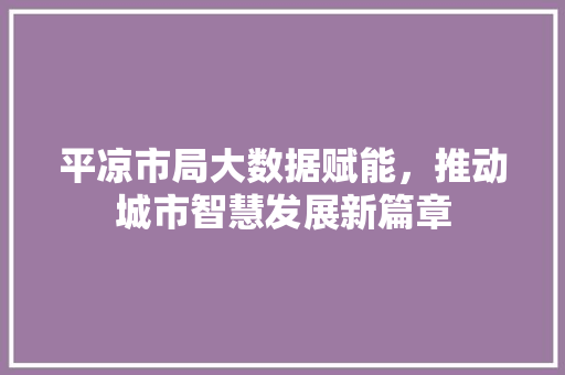 平凉市局大数据赋能，推动城市智慧发展新篇章