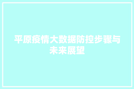平原疫情大数据防控步骤与未来展望