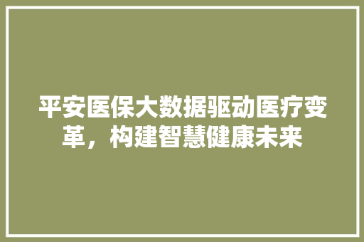 平安医保大数据驱动医疗变革，构建智慧健康未来