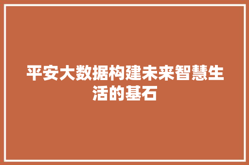 平安大数据构建未来智慧生活的基石