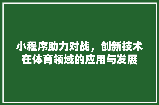 小程序助力对战，创新技术在体育领域的应用与发展