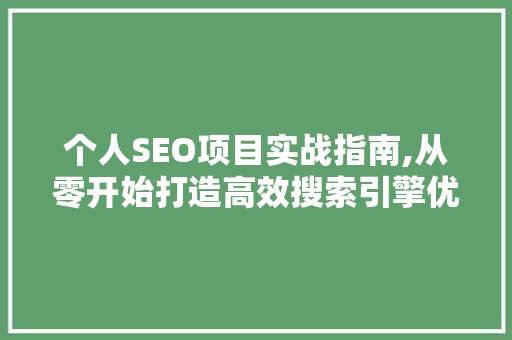 个人SEO项目实战指南,从零开始打造高效搜索引擎优化步骤 商务信函