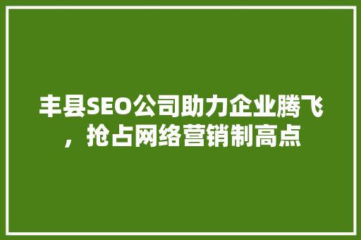 丰县SEO公司助力企业腾飞，抢占网络营销制高点