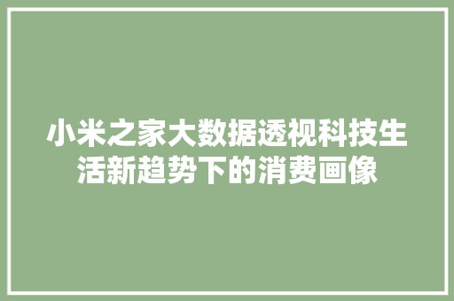 小米之家大数据透视科技生活新趋势下的消费画像