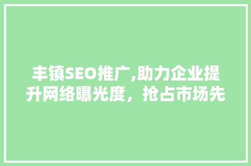 丰镇SEO推广,助力企业提升网络曝光度，抢占市场先机