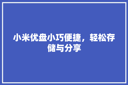 小米优盘小巧便捷，轻松存储与分享
