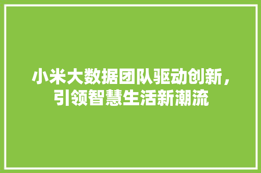 小米大数据团队驱动创新，引领智慧生活新潮流
