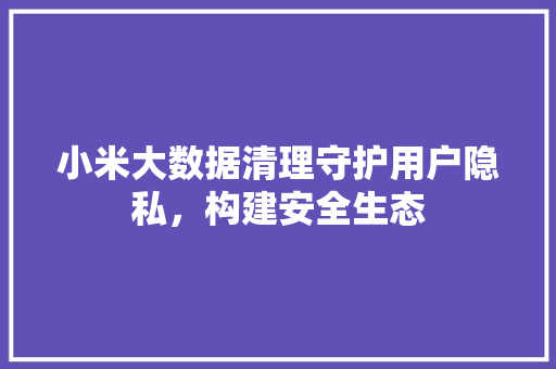 小米大数据清理守护用户隐私，构建安全生态