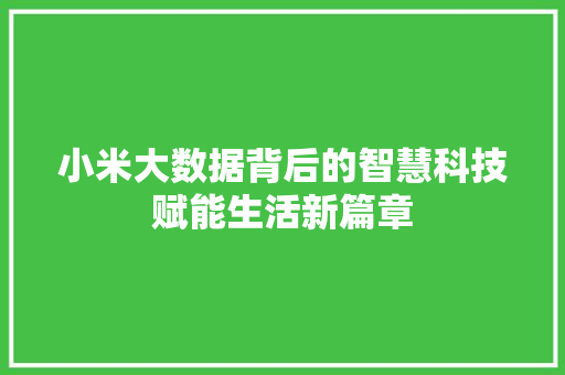 小米大数据背后的智慧科技赋能生活新篇章