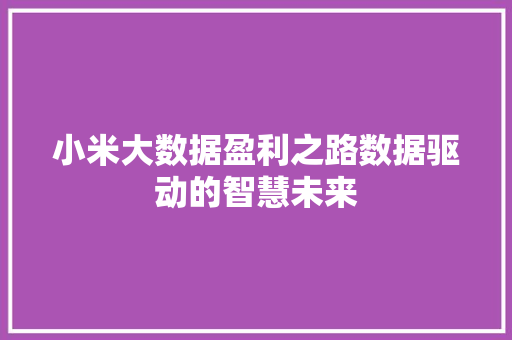 小米大数据盈利之路数据驱动的智慧未来