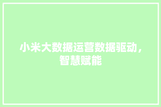 小米大数据运营数据驱动，智慧赋能
