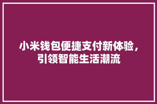小米钱包便捷支付新体验，引领智能生活潮流