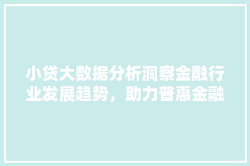 小贷大数据分析洞察金融行业发展趋势，助力普惠金融发展