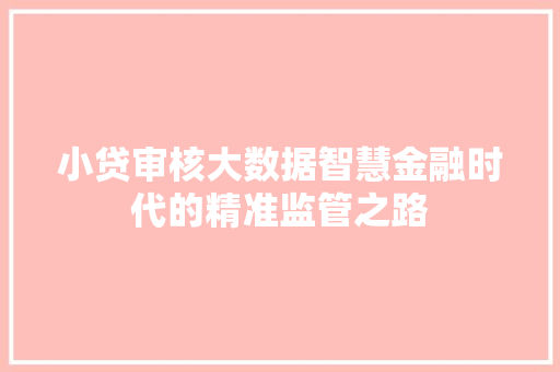 小贷审核大数据智慧金融时代的精准监管之路