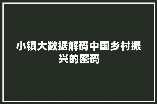 小镇大数据解码中国乡村振兴的密码