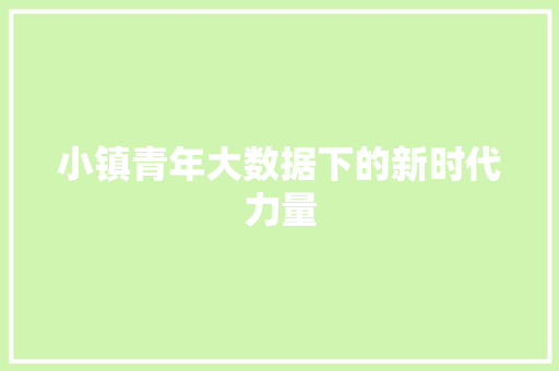 小镇青年大数据下的新时代力量