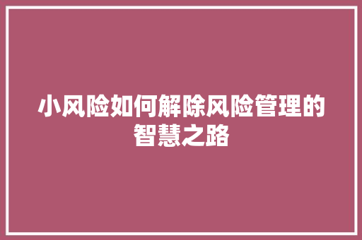 小风险如何解除风险管理的智慧之路
