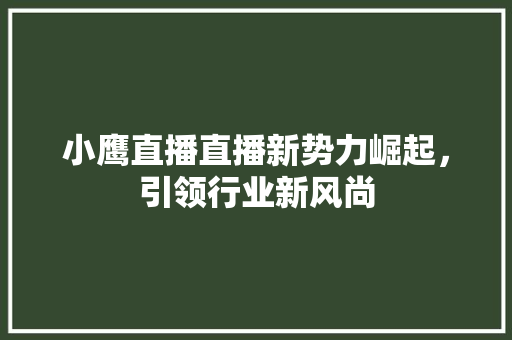 小鹰直播直播新势力崛起，引领行业新风尚