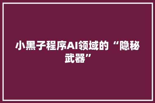 小黑子程序AI领域的“隐秘武器”