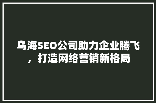 乌海SEO公司助力企业腾飞，打造网络营销新格局
