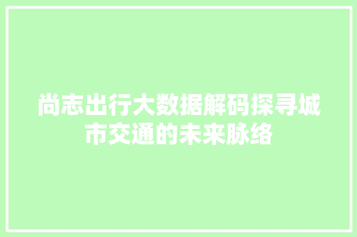 尚志出行大数据解码探寻城市交通的未来脉络