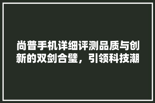 尚普手机详细评测品质与创新的双剑合璧，引领科技潮流
