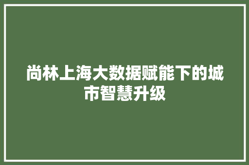 尚林上海大数据赋能下的城市智慧升级