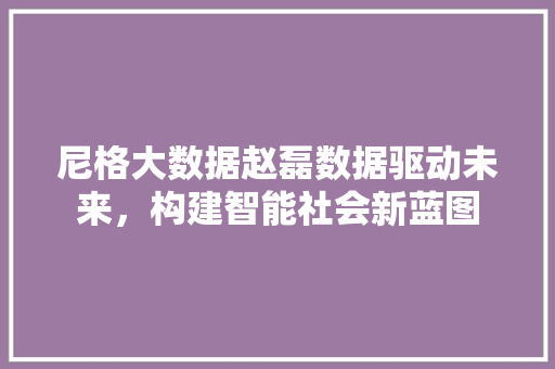 尼格大数据赵磊数据驱动未来，构建智能社会新蓝图