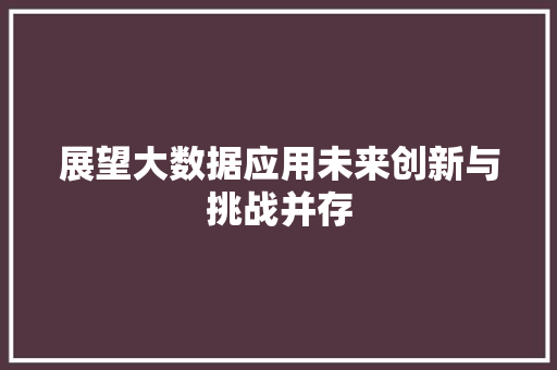 展望大数据应用未来创新与挑战并存